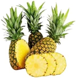 قطعة) شجر اناناس )