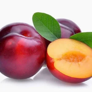 برقوف احمر مستورد