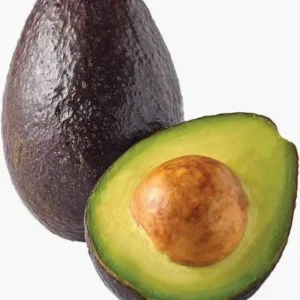 افوكادو مصري