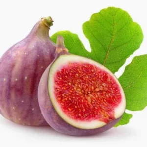 تين برشومى فاخر