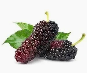 توت بلاك اسبانى